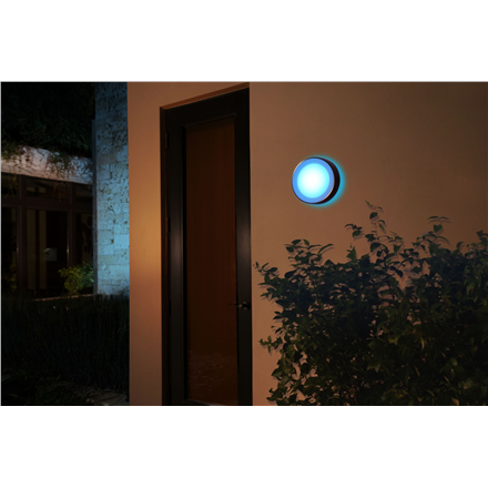 Philips Hue WCA Daylo Outdoor Wall Lantern