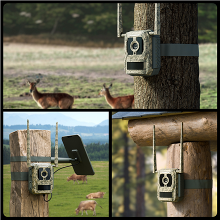 Reolink | 4K 4G Cellular Trail Camera with Live Streaming | Talon Series S130 | Trail | 8 MP | 4mm/F