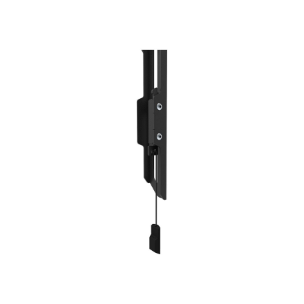 Neomounts Wall mount | WL30-550BL14 TV mount wall | 32-75 " | Maximum weight (capacity) 50 kg | Blac