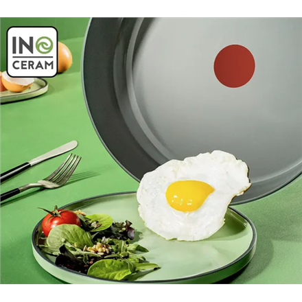 TEFAL Pan | C4260443 | Frying | Diameter 24 cm | Suitable for induction hob | Fixed handle | Grey