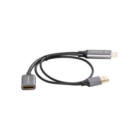Lanberg HDMI (M) to Displayport (F) Adapter 4K on cable 20cm