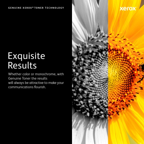 Xerox 106R03764 Toner Cartridge, Cyan