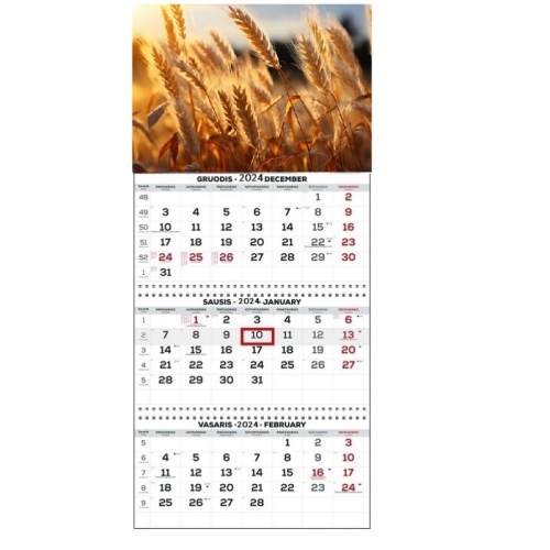 Wall Mounted Calendar 3 parts Trio 30x66cm.