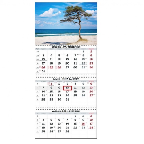 Wall Mounted Calendar 3 parts Trio 30x66cm.