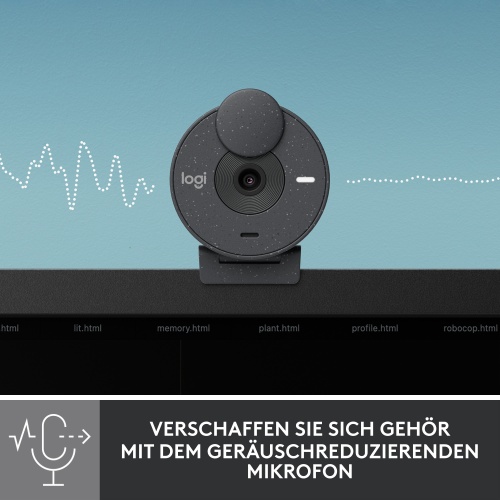 Webcam Logitech Brio 300 (960-001436) Full HD, Graphite