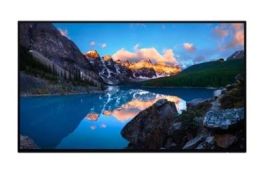 DELL U2424H 23.8" Pivot