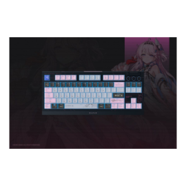 Razer BlackWidow V4 Tenkeyless HyperSpeed Gaming Keyboard