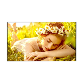 LG 4K UHD Signage 75UL5Q-E 75 "