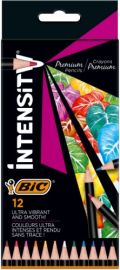 BIC Coloring pencils Intensity 12 colours 951844