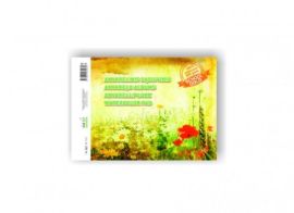 Watercolor notebook SMLT, A4, 200 g, gummed (10) 0708-205