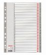 Divider Esselte PP, A4, numbers 1-31, plastic