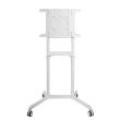 TV SET ACC FLOOR STAND/37-70" NS-M1250WHITE NEOMOUNTS