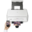 Canon Multifunctional printer  PIXMA TS5151 Colour