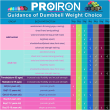 PROIRON PRKNED02K Dumbbells