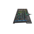 Genesis THOR 210 RGB Gaming keyboard