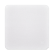 Apple Polishing Cloth