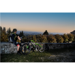 Argento Performance Pro