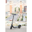 Ninebot Kickscooter F40I Powered by Segway