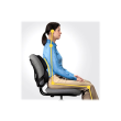 Fellowes Professional back support - Professional Series Fellowes