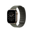 Apple 42mm Sage Gray Magnetic Link - S/M Apple