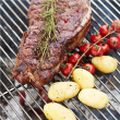 Barbecook Professional cooking grill FSC, 58.5 x 68 x 1 cm BC-ACC-7158