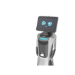Orion Star OS-R-SG04 AI Service Robot-GreetingBot Nova