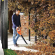 BLACK & DECKER Leaf vacuum-blower GWC1820PC-QW Electric