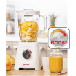 TEFAL Blender Blendforce II