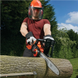 BLACK & DECKER Chainsaw GKC3630L20-QW 30 cm