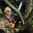 BLACK & DECKER Chainsaw GKC3630L20-QW 30 cm