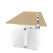 Arozzi Electric Standing Desk Arena Nordico Birch