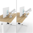 Arozzi Electric Standing Desk Arena Nordico Birch