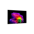 LG OLED 4K AI G6 TV OLED55G61LW 55