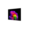 LG OLED 4K AI G6 TV OLED77G61LW 77