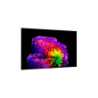 LG OLED 4K AI G6 TV OLED83G61LW 83