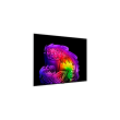 LG OLED 4K AI G6 TV OLED83G61LW 83