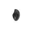 Gembird Dual-mode mouse MUSW2-6B-02 Wireless