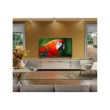 LG QNED 4K evo AI Mini LED TV 43QNED8EB3F 43