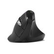 PORT CONNECT Mouse ERGO AUDITOR Wireless