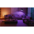 Philips Hue WCA A60 2KIT Pro EU E27 White and colored light