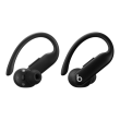 Beats Powerbeats Pro 2 - High-Performance Earbuds - Jet Black Beats