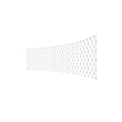 Philips Hue Festavia Net Lighting, 1 x 3.5 m, 250 LEDs, EU White and color Bluetooth, Zigbee