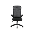 Onex Gaming Office Chair Skyflex Premium Mesh Black