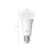 Philips Hue