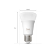 Philips Hue WCA 810 A60 2P EU E27 6 W