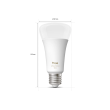 Philips Hue