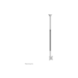 Neomounts CL35-340BL12 Monitor/TV mount Ceiling Adjustable Height, Rotate, Tilt, Swivel 23-42 "