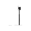 Neomounts Floor stand FL45S-825BL1 TV floor stand Adjustable Height, Tilt
