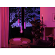 Philips Hue WCA Lightguide G95 | E27 | 6.8 W | White and colour light
