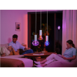 Philips Hue WCA Lightguide G95 | E27 | 6.8 W | White and colour light